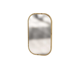Зеркало 100 Swan