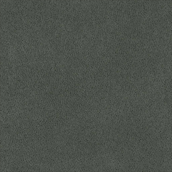 Polaris Grey