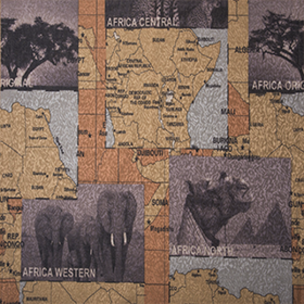 Eko-zhakard-africa