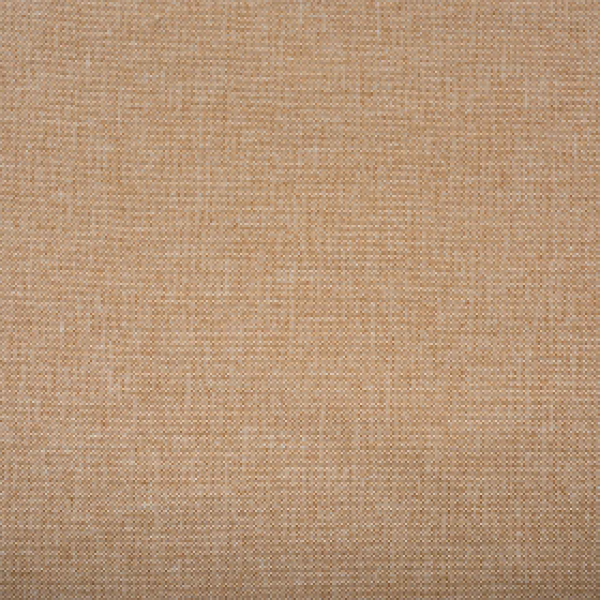 Savanna-nova-24-gold