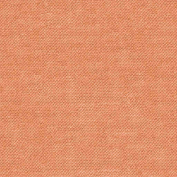 California Coral