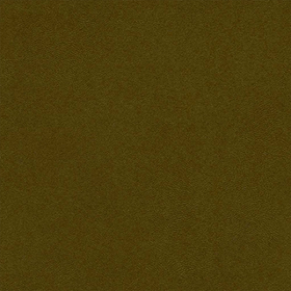 Antares Olive