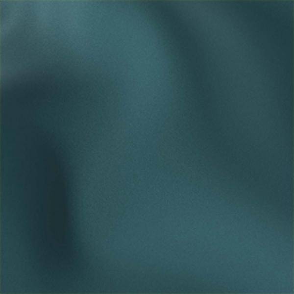 Florida Ocean