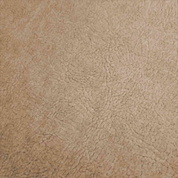 Elegant Beige