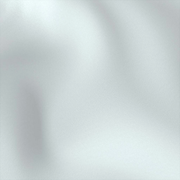Florida Light Grey
