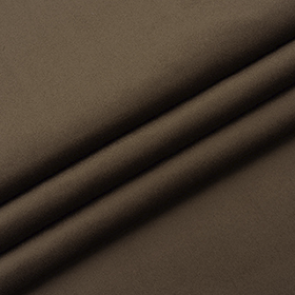 Bagira-08-ash-brown