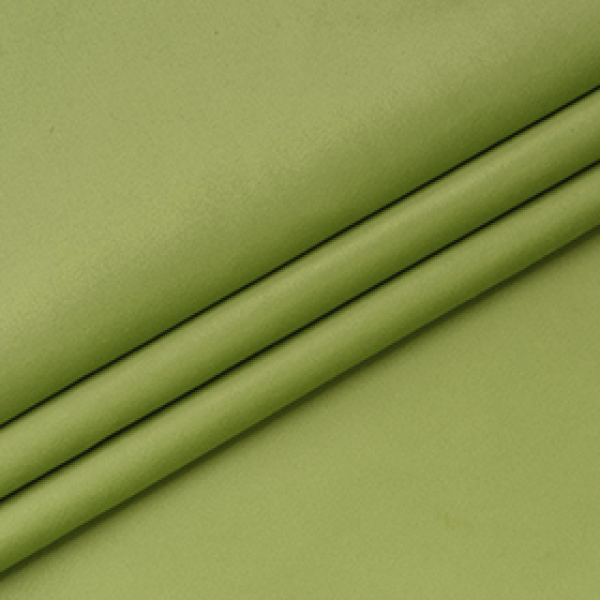 Bagira-26-spring-green