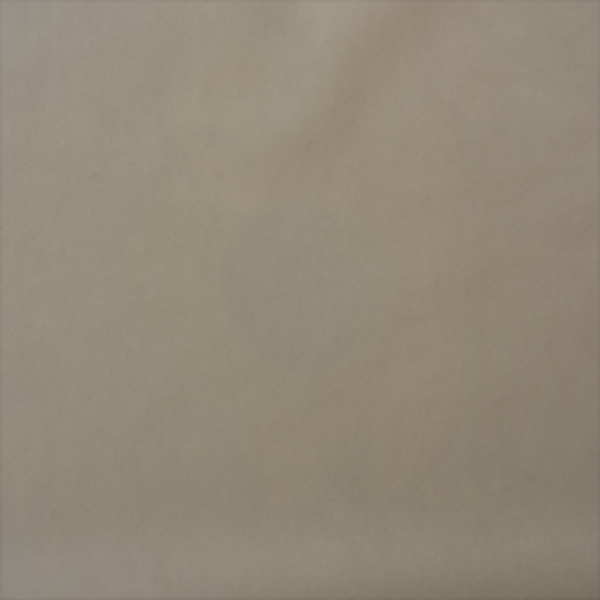  Almira-01-stark-white