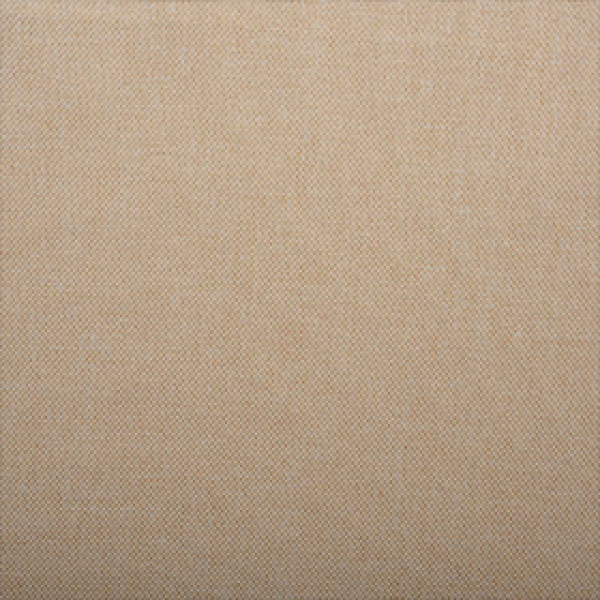 Savanna-nova-31-cream