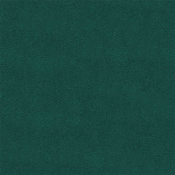 Enigma Ocean