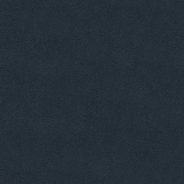 Enigma Blue