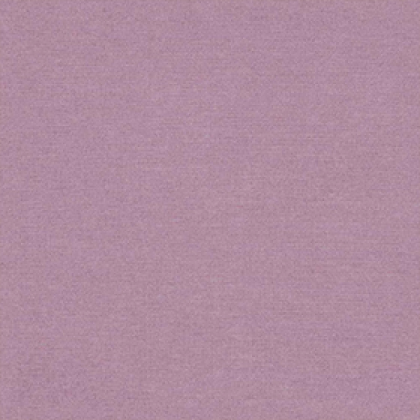Alabama Violet