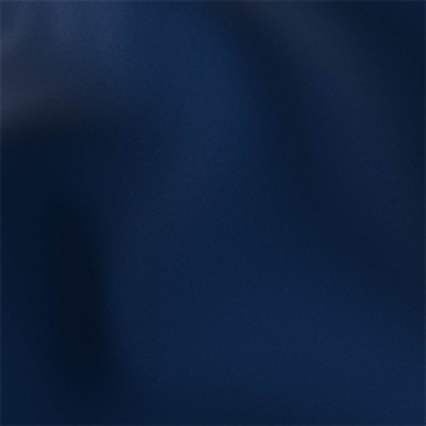 Florida Dark Blue