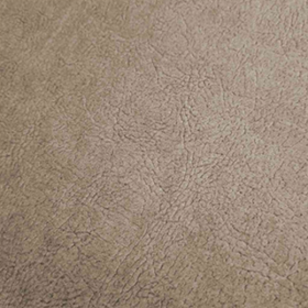 Elegant Cool Beige
