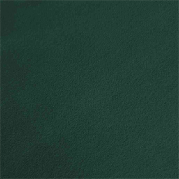 Eco Lounge Dark Green
