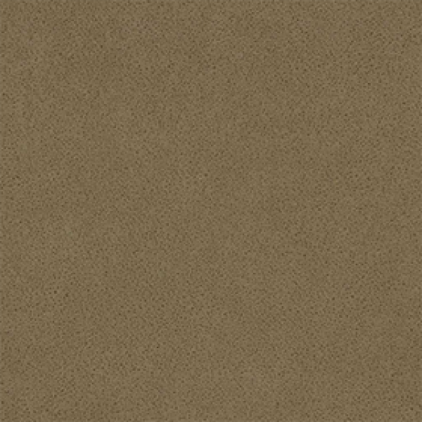 Polaris Caramel