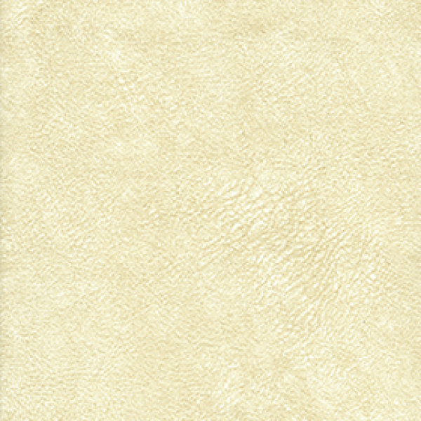 Арена-1
